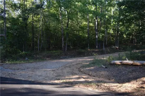 Residential Land in McCalla, Alabama