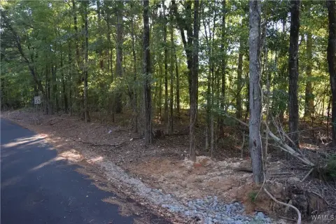 Residential Land in McCalla, AL