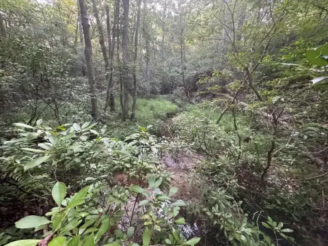 2.19 Acre Wooded Lot