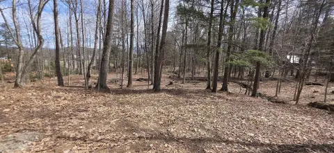 Thornton Land with Babbling Brook