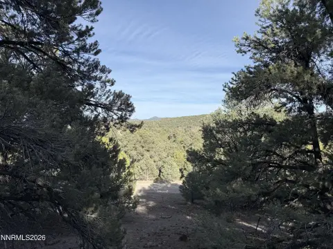 Reno Land with Potential Views