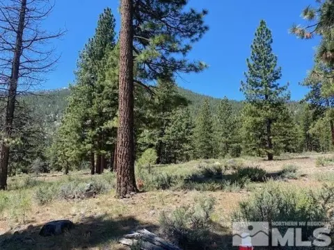 Land in Clear Creek Tahoe