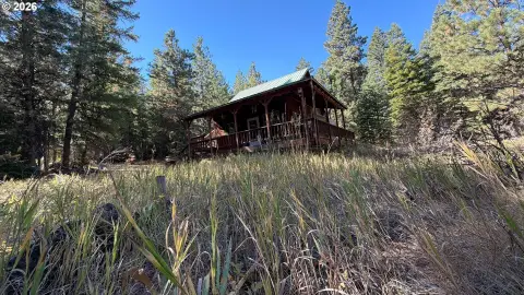 Recreational Timberland with Off-Grid Cabin
