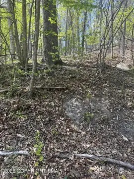 East Stroudsburg Land Opportunity