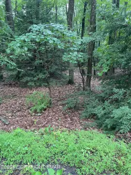 Residential Land in Indian Mountain