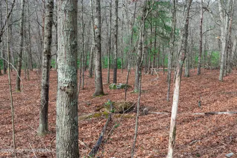 Buildable Lot in Paradise Township