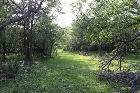 9.9 Acres in Dale, TX