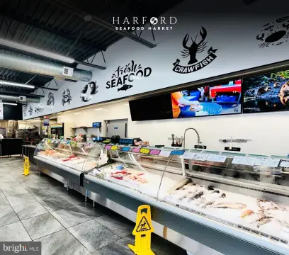 Modern Seafood Market Opportunity