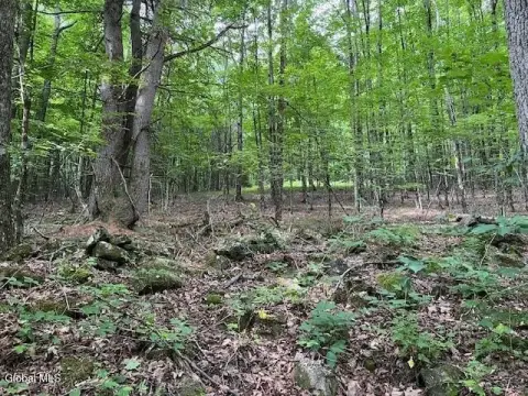 Wooded Recreation Land Parcel