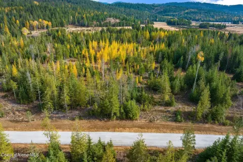 Forested Land Near Sandpoint, ID
