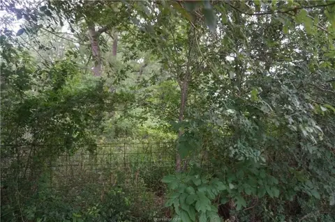 Residential Land in Caldwell, TX