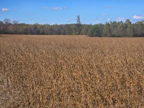 A-1 Agricultural Land Parcel
