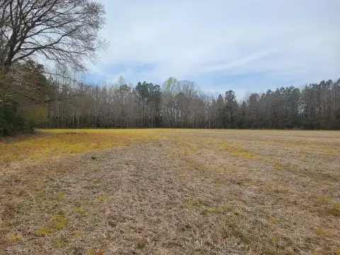Wooded Agricultural Land