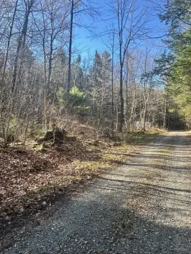 Marlboro Land with Shared Pond
