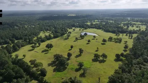 Huntsville, TX Farm/Estate Opportunity