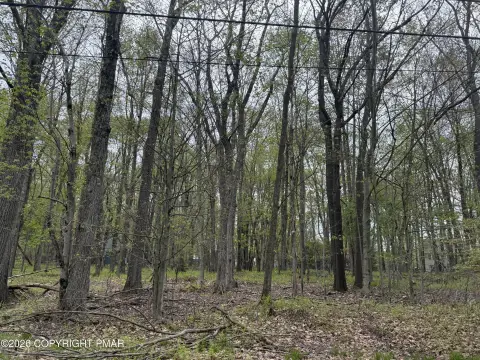 Arrowhead Lake Wooded Lot