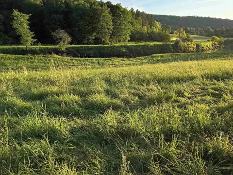 Agricultural Land Along Rail Trail