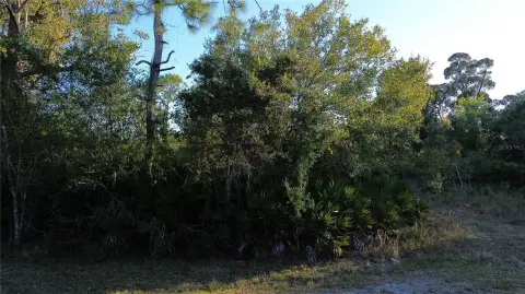 Punta Gorda Land Opportunity