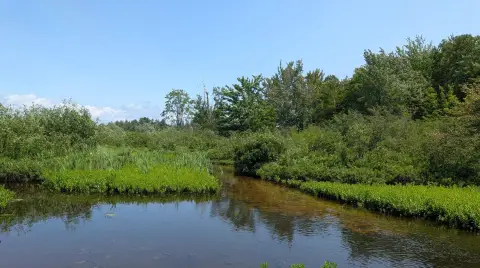 Waterfront Land on Carp River