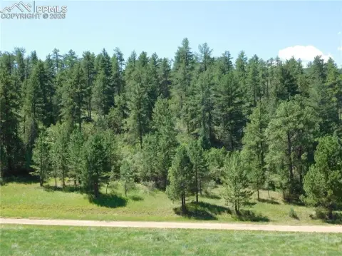 Acre Lot in Perry Park