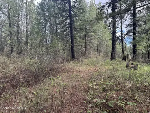 Land with Timber Near Highway