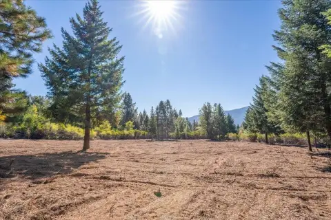 5 Acres in Mt. Shasta