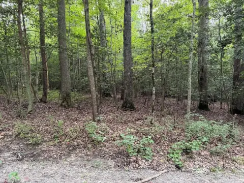 Water Access Wooded Lot