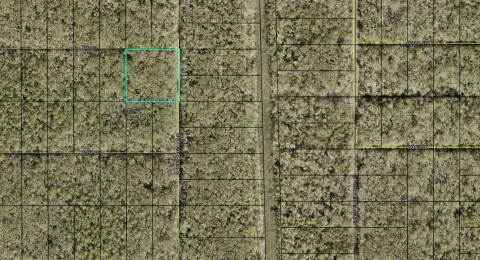 Land Opportunity in Flagler Estates