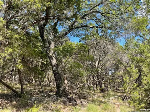 Lakehills Treed Lot on Park Road