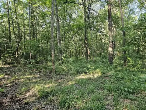 One Acre Land in Upshur