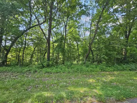 Wooded Homesite in Galena Territory
