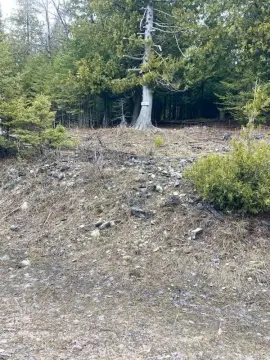 Drummond Island Building Lot