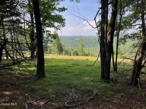 Wooded Land for Home or Retreat