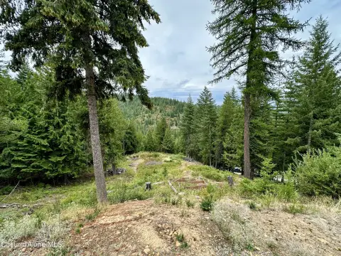 Kingston, Idaho Treed Land