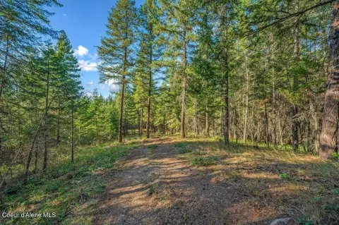 Wooded Custom Home Acreage