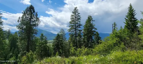 North Idaho Wilderness Land Parcel
