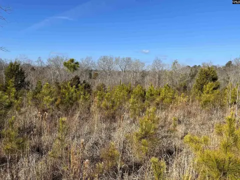 40 Acres in Winnsboro, SC