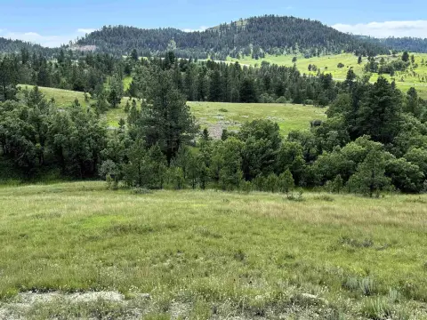 Agricultural Farmland with Multiple Building Sites