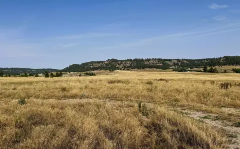 Recreational Land Tract
