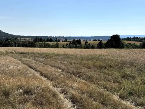 Recreational Hunting Tract