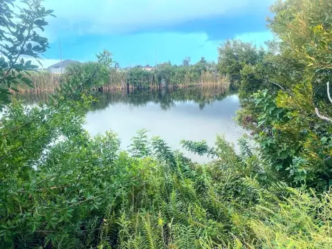 Waterfront Lot in Cape Coral