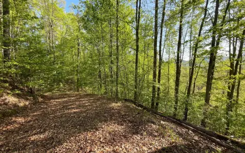 Hayesville Vacant Lot with Lake Access