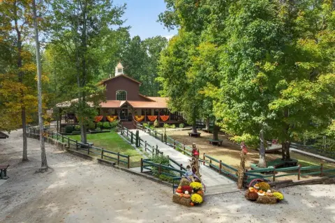 Short-Term Rental Cabin Property
