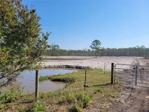 25+ Acre New Smyrna Land