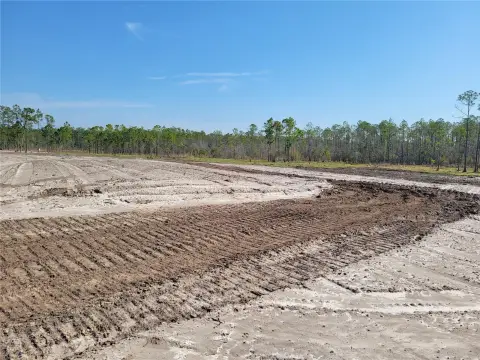 New Smyrna Beach Acreage