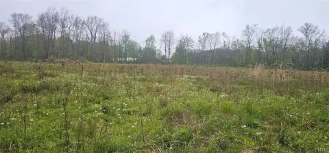 15 Acres Land Near Sodus