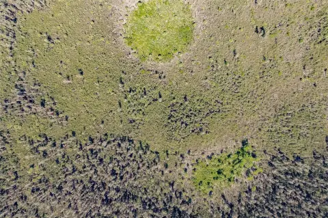 5 Acres Vacant Land Naples