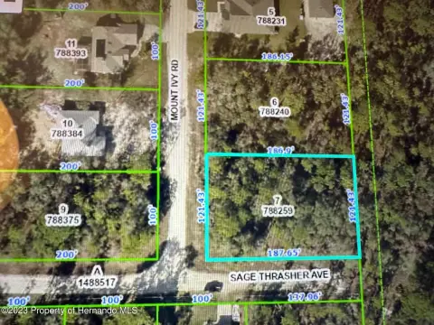 Residential Land in Weeki Wachee