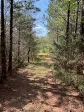 20+ Acre Homesite Opportunity