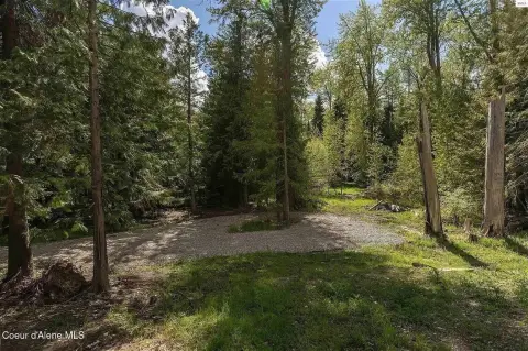Secluded Creek-Side Property with Forest Access